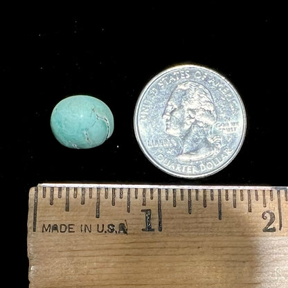 A loose, oval cabochon cut turquoise stone from the Sleeping Beauty Mine in Arizona.  The stone is a greenish blue color.