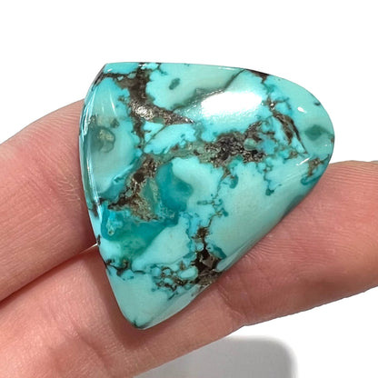 A loose, freeform triangular cabochon cut turquoise stone from Sonora, Mexico.