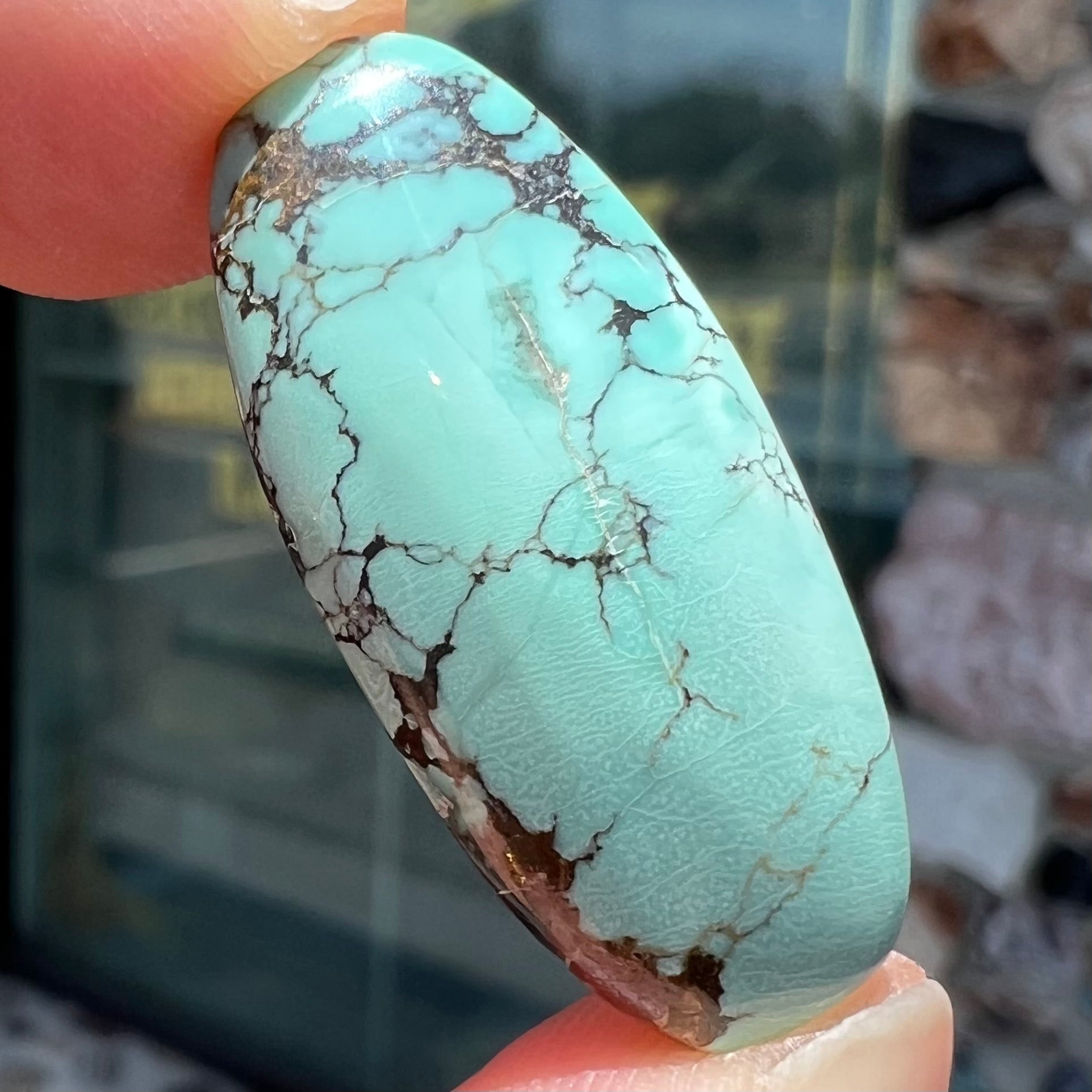 A loose, barrel cabochon cut Courtland-Gleeson turquoise stone.  The stone is greenish blue with black and brown matrix.