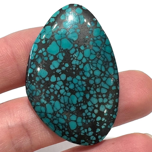 A polished, freeform shaped spiderweb turquoise cabochon from Lone Mountain Mine in Esmeralda County, Nevada.