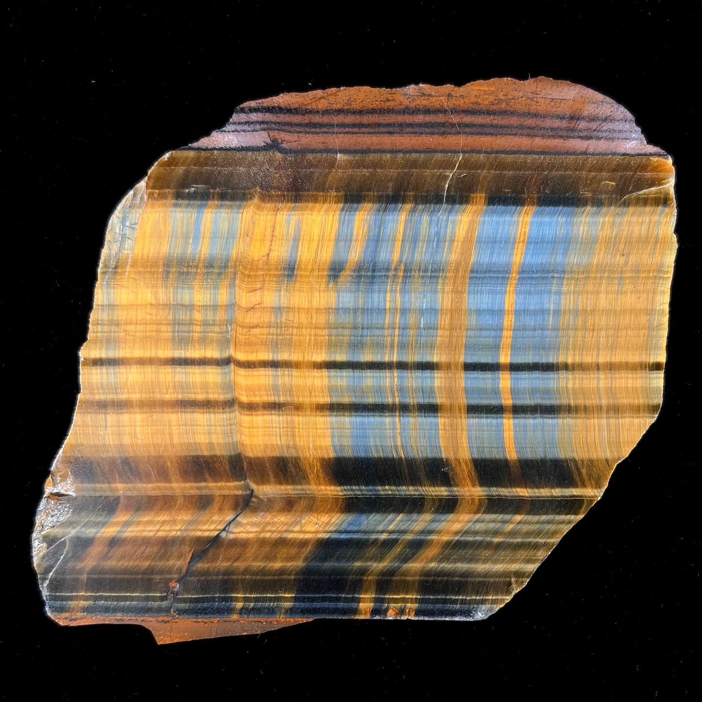 A polished slab of yellow tiger's eye with blue streaks.