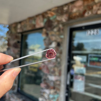 A polished bicolor pink tourmaline crystal slice.