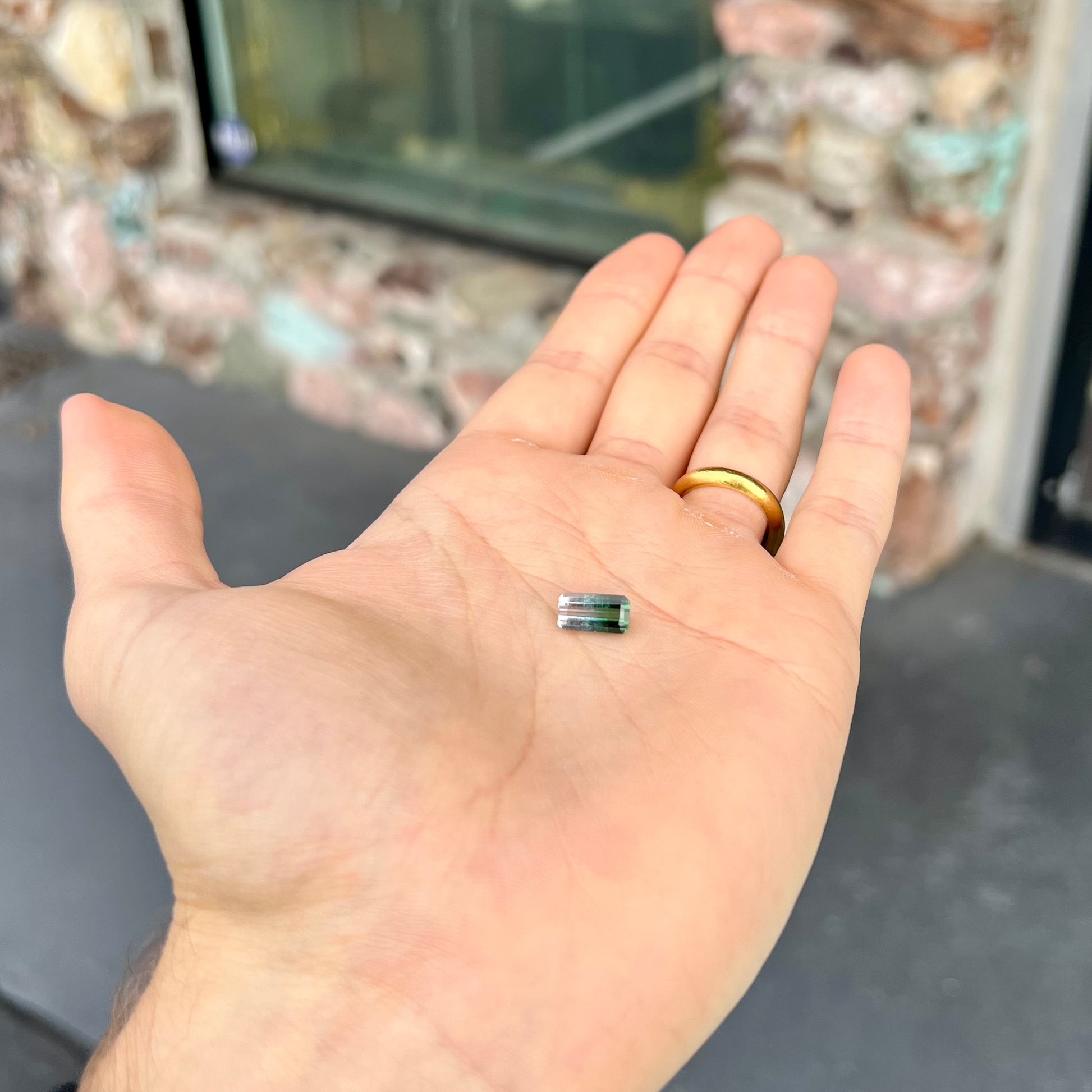 A loose, emerald cut tricolor tourmaline gemstone.  The stone transitions from green to blue to white colors.