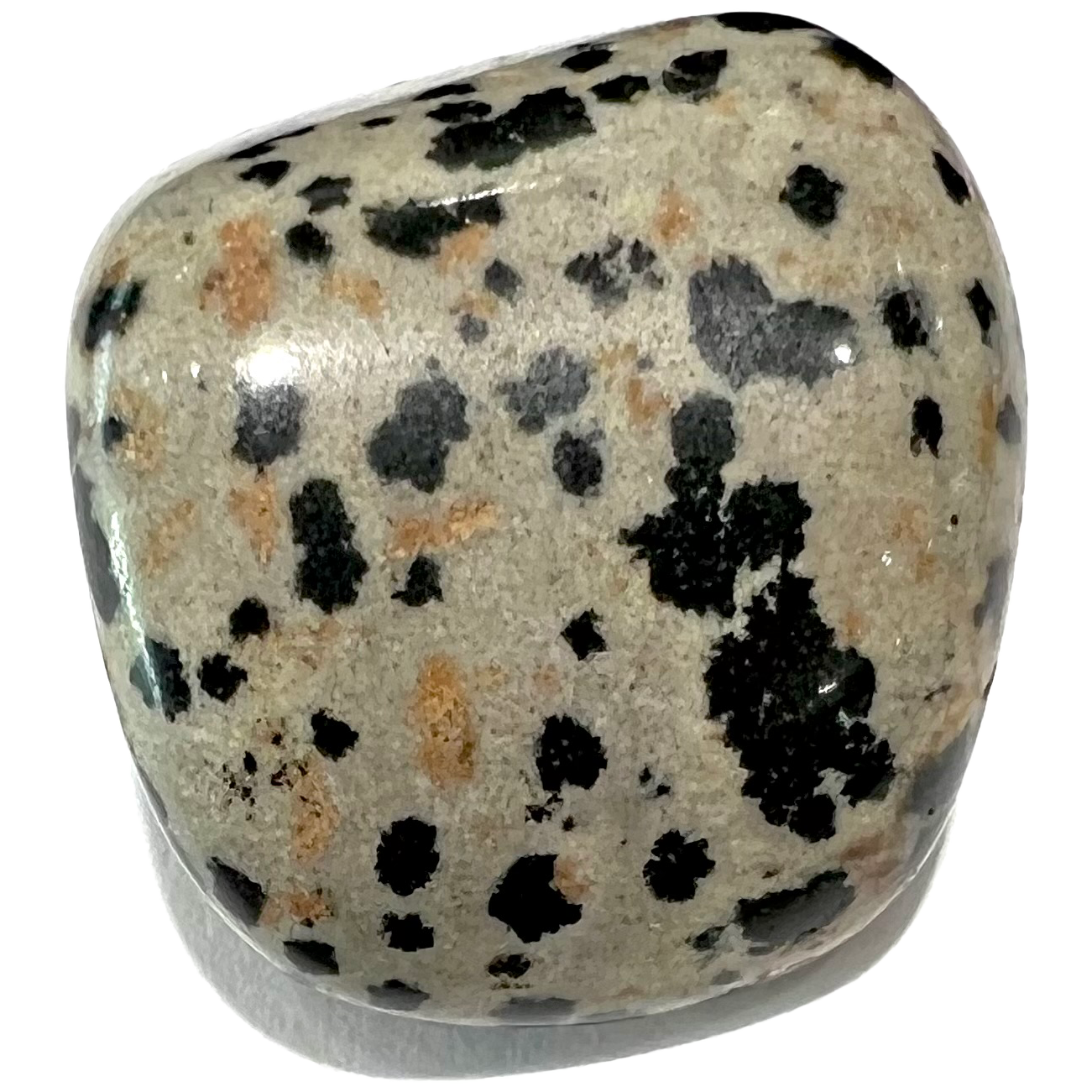 A tumble polished dalmatian stone.  The stone is yellowish white with yellow and black spotting.