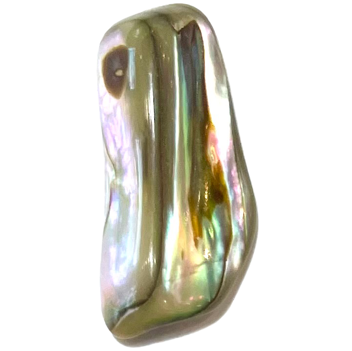 A tumble polished, iridescent mother of pearl shell.
