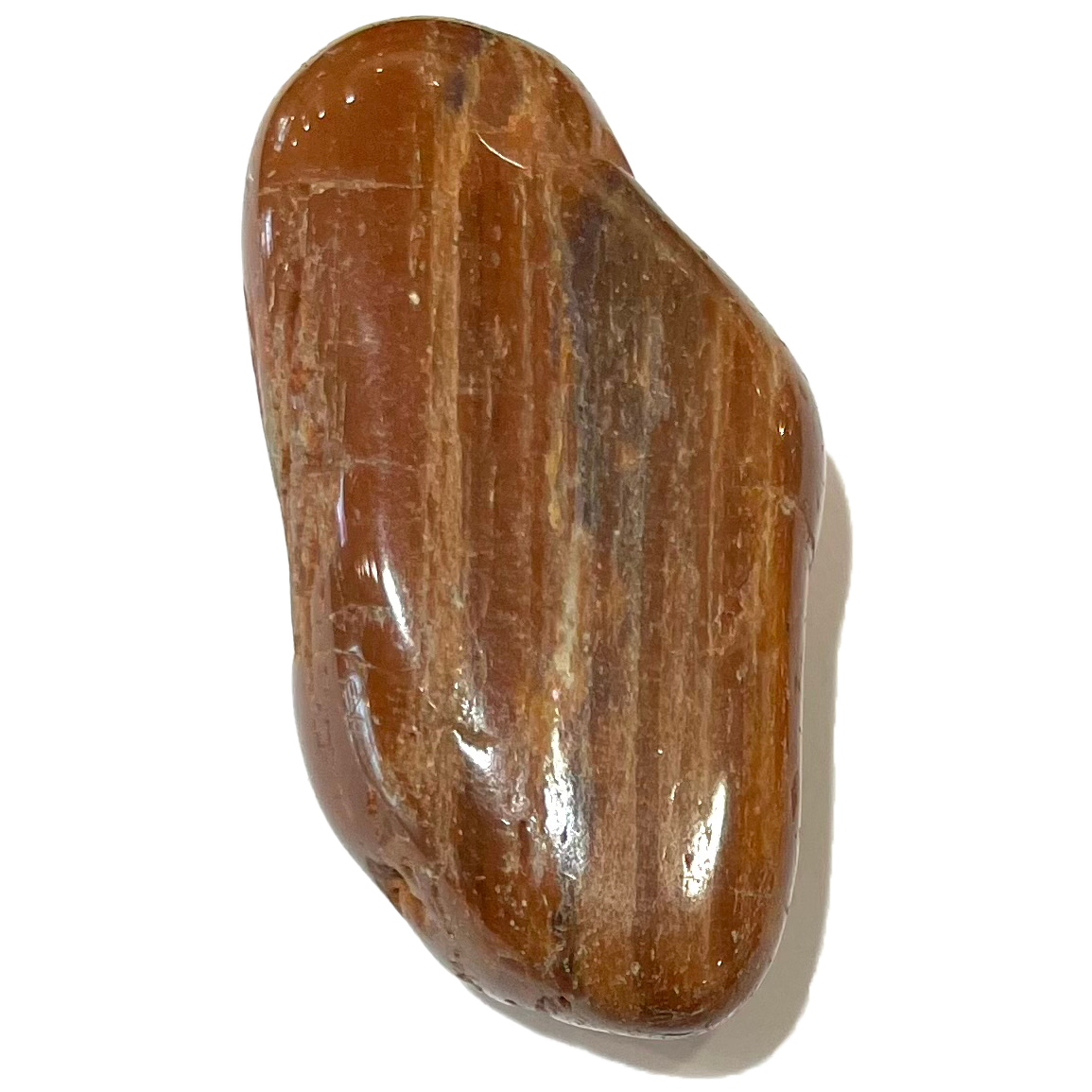 A tumbled piece of brown petrified wood.  Black striations are seen.