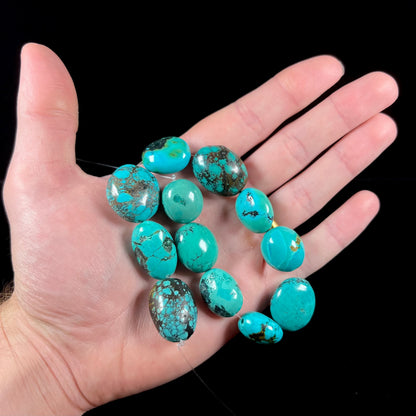 A strand of 12 large, dyed turquoise stones.