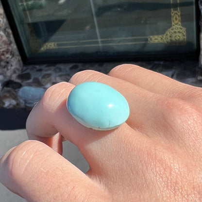 Turquoise #249 | Sleeping Beauty