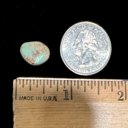 A loose, freeform cabochon cut Royston turquoise stone.  The stone is green with warm, brown matrix.