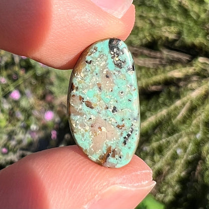 A loose turquoise cabochon.  The stone is greenish blue with black, brown, and white quartz matrix.