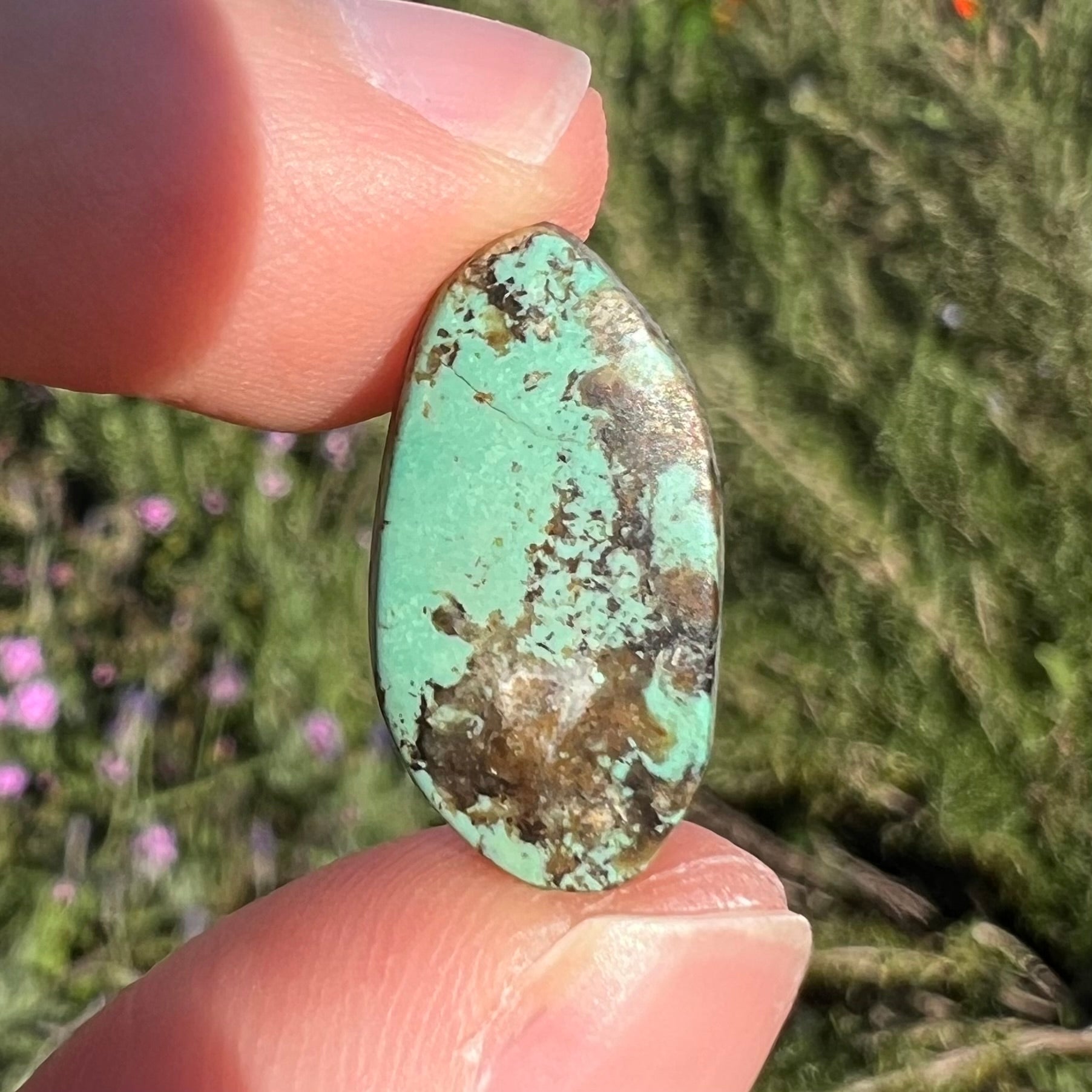 A loose green turquoise stone.  The cabochon is green with black and brown matrix.