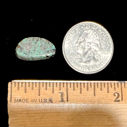 A freeform cabochon cut Valley Blue turquoise stone from Lander County, Nevada.