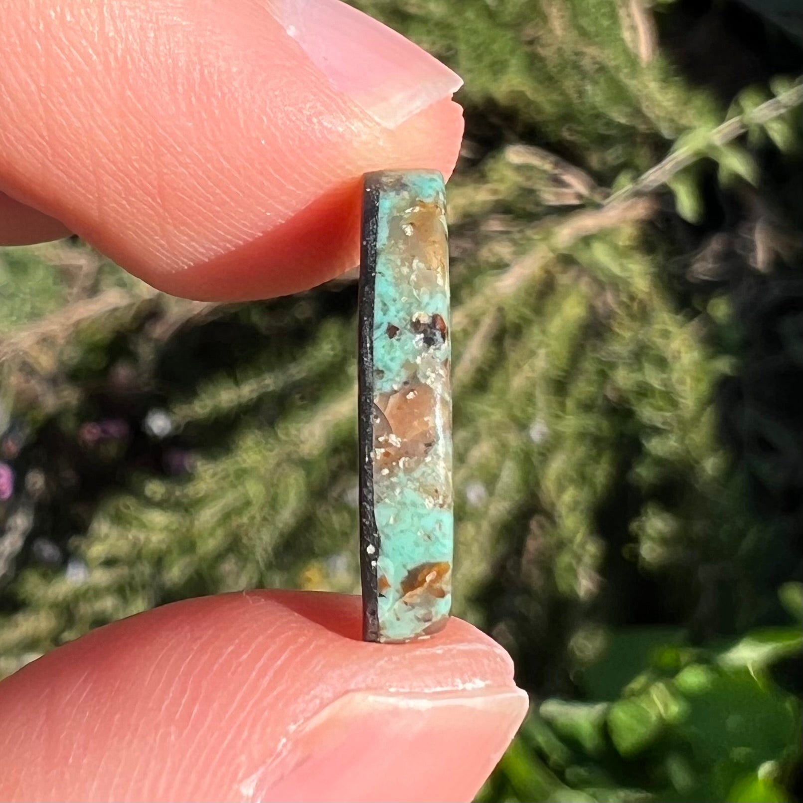 A loose turquoise cabochon.  The stone is greenish blue with black, brown, and white quartz matrix.