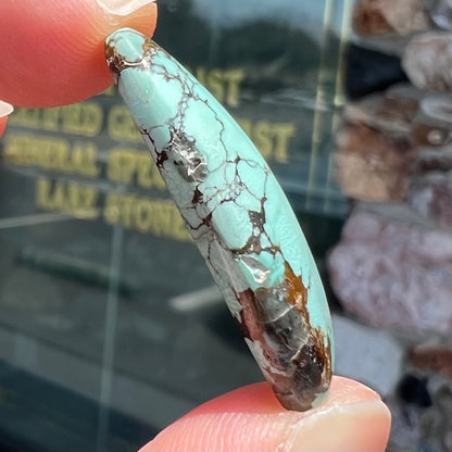 A loose, barrel cabochon cut Courtland-Gleeson turquoise stone.  The stone is greenish blue with black and brown matrix.