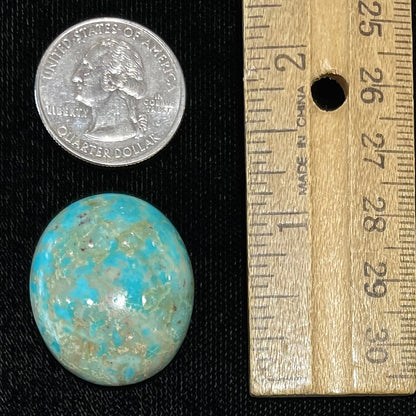 Turquoise #226 | Royston