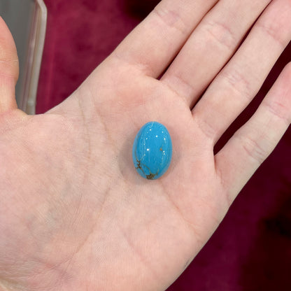 Turquoise #223 | Persian