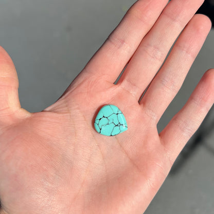 Turquoise #283B | Courtland-Gleeson