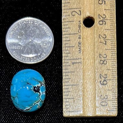 Turquoise #293 | Indian Mountain