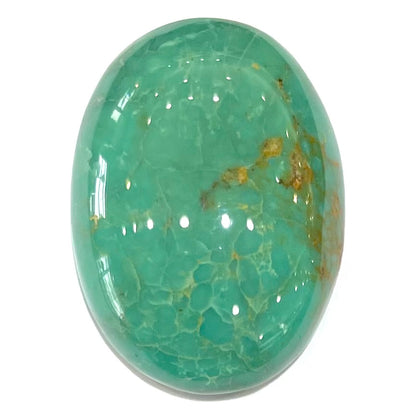 Turquoise #253 | Royston