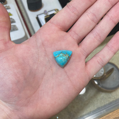 Turquoise #246 | Royston