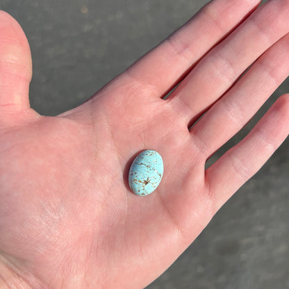 Turquoise #290 | Number 8