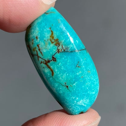 Turquoise #212 | Royston
