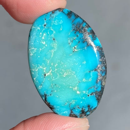 Turquoise #86 | Bisbee