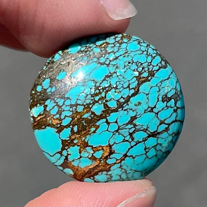 Turquoise #277 | Number 8