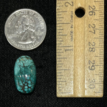 Turquoise #262 | Number 8