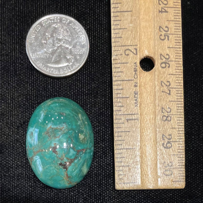 Turquoise #255 | Royston