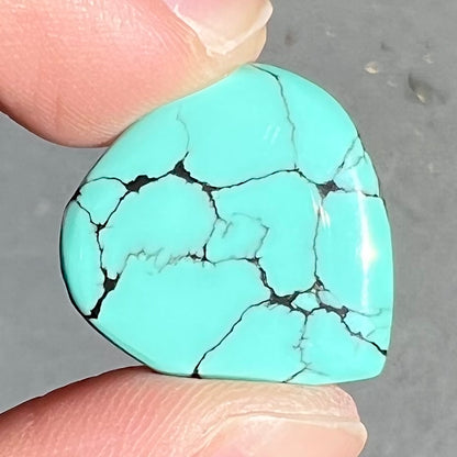 Turquoise #283B | Courtland-Gleeson