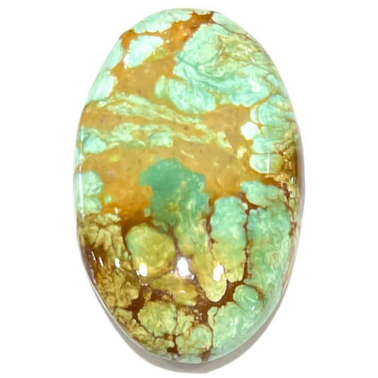 Turquoise #95 | Royston