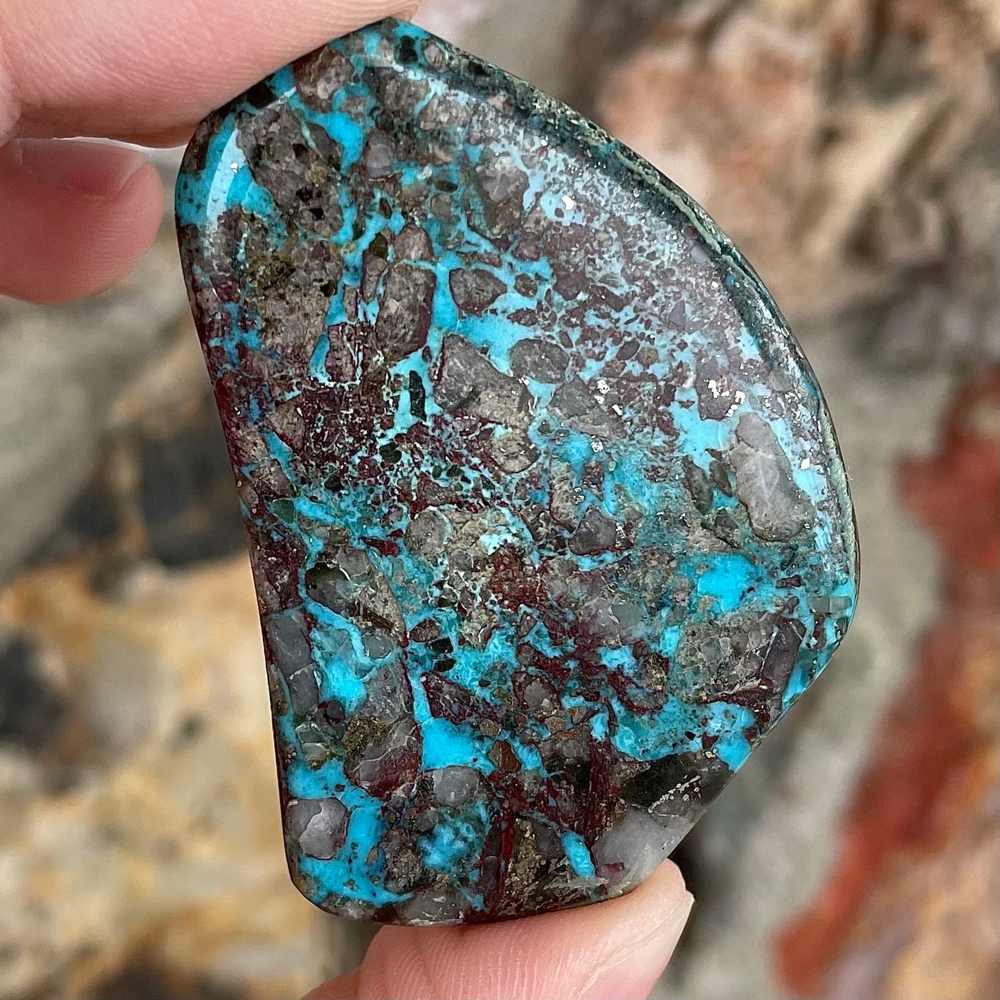 Turquoise #81 | Bisbee
