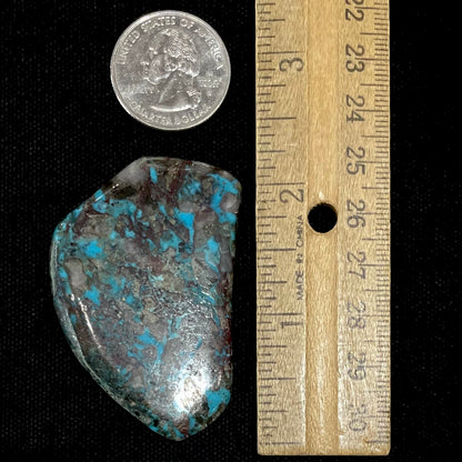Turquoise #81 | Bisbee