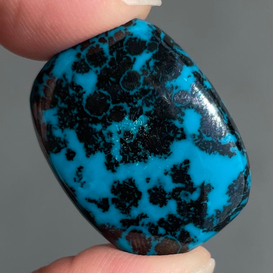 A loose, cushion cabochon cut chrysocolla stone.