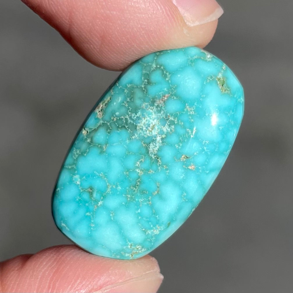 Turquoise #218 | Bisbee