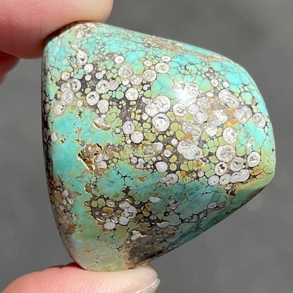 Turquoise #79 | Kingman