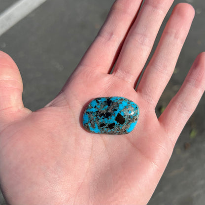 Turquoise #56 | Blue Diamond