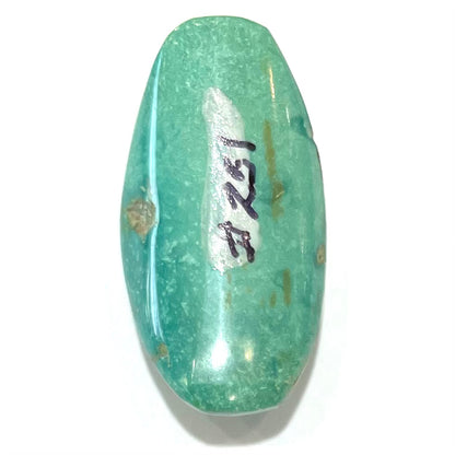 Turquoise #251 | Royston