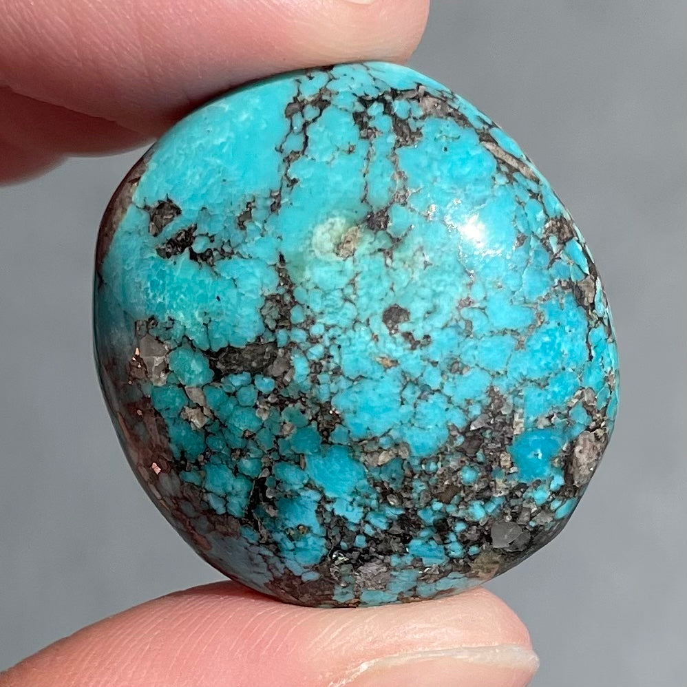 Turquoise #80 | Tyrone