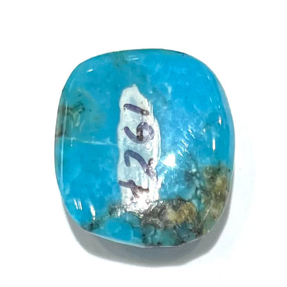 Turquoise #261 | Sleeping Beauty