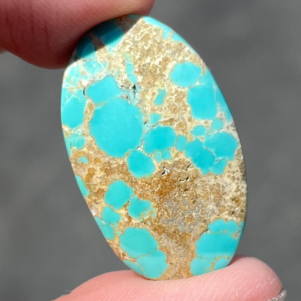 An oval cabochon cut loose Fox turquoise stone.