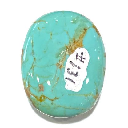 Turquoise #131 | Royston
