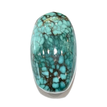 Turquoise #262 | Number 8
