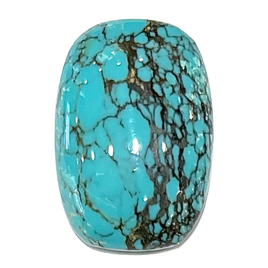 Turquoise #279 | Number 8