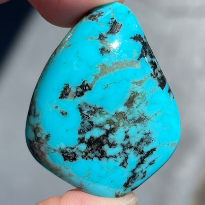 Turquoise #87 | Pinto Valley