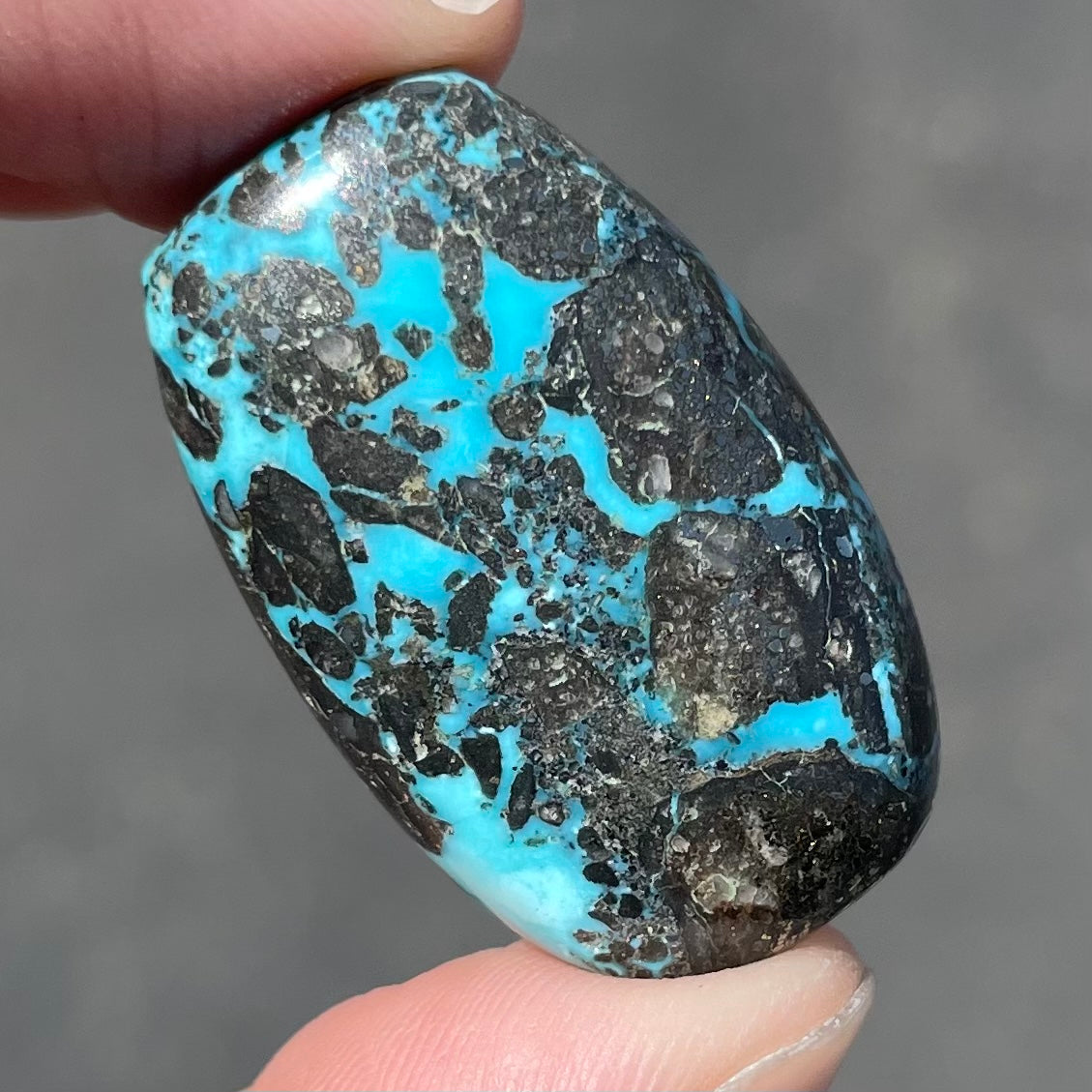 Turquoise #68 | Morenci – Burton's Gems and Opals