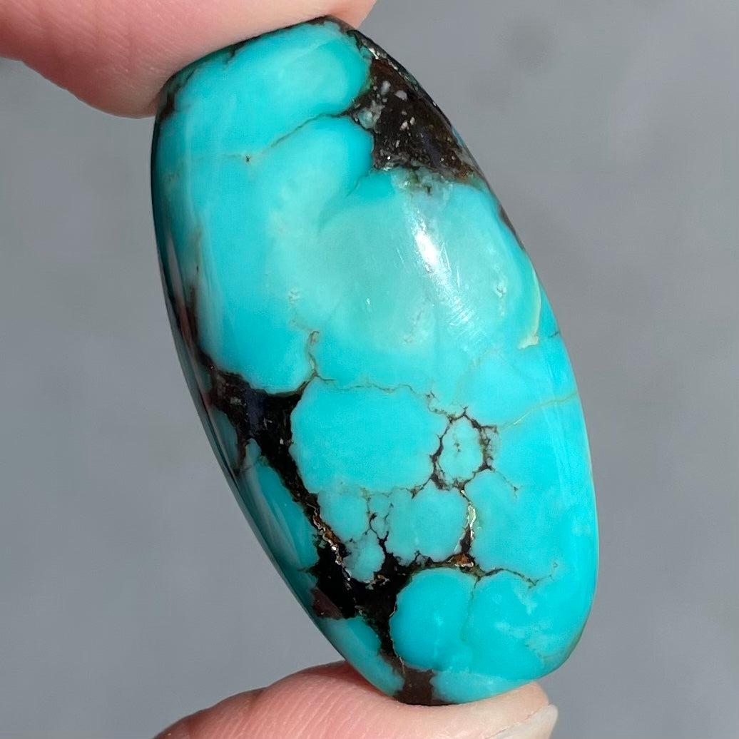 Turquoise #264 | Pinto Valley