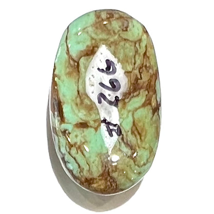 Turquoise #266B | Pinto Valley