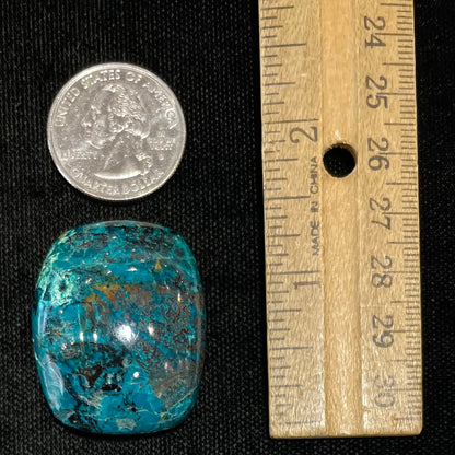 Chrysocolla Cabochon | #141